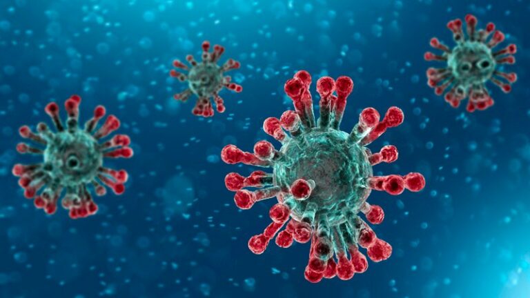 The European Union and the US, Apples to Apples on Wuhan Virus