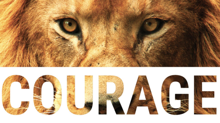 There’s No Voter Integrity Where There is no Courage