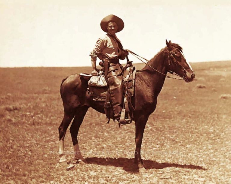 My Heroes Have Always Been Cowboys- Willie Nelson